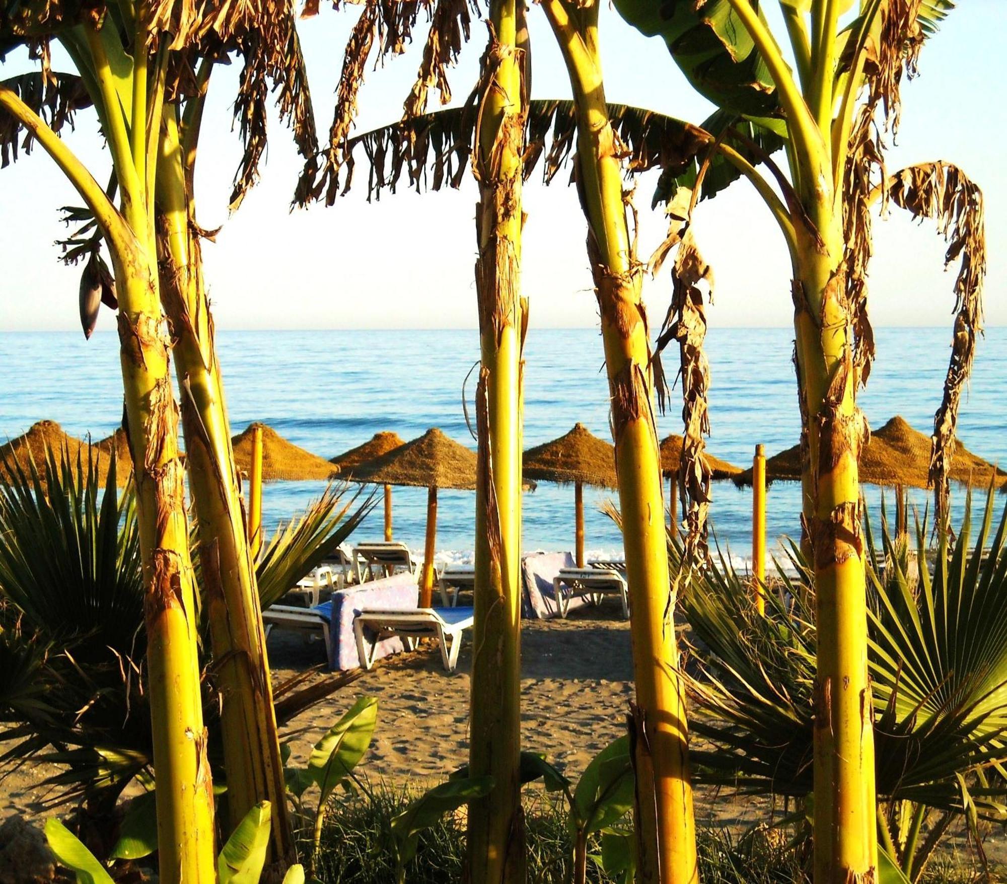 Apartment Estudios 88 Torrox